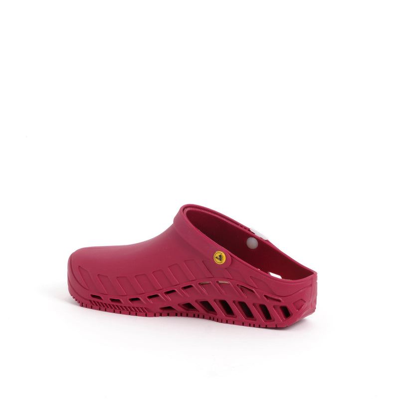 Clog evo scholl on sale