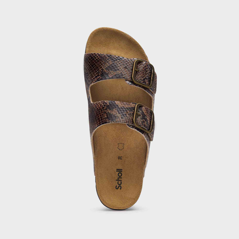 Josephine - Synthetic python - Brown - Women