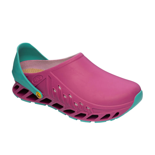 Sanitary clogs for women Scholl Shoes